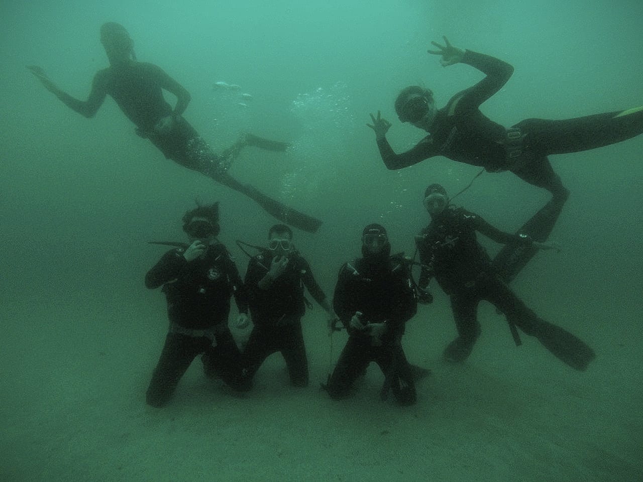 free divers and scuba divers with one love of the ocean